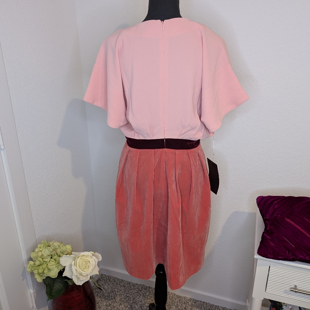 💘 Pink Velvet Pomander Place Dress (Tuckernuck) - Picture 3 of 6